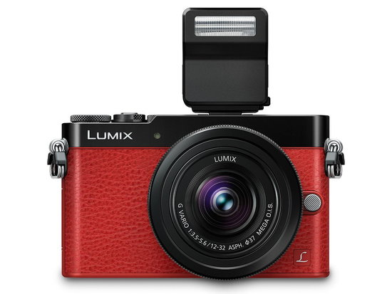 -LUMIX-DMC-GM5 4